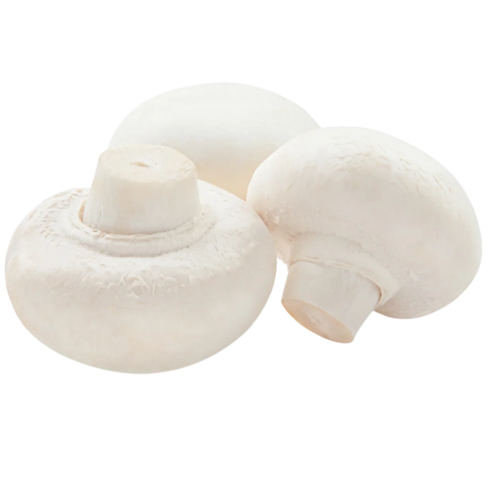 Button Mushroom Button Mushroom