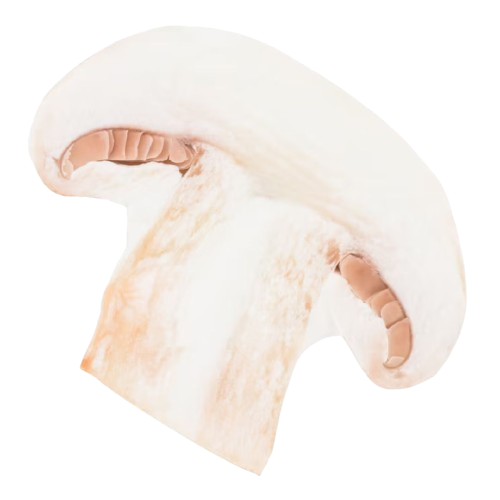 Slice Mushroom Slice Mushroom