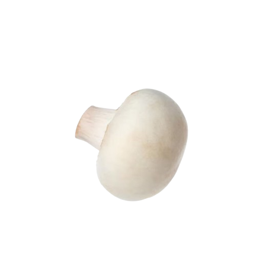 Mushroom Mushroom
